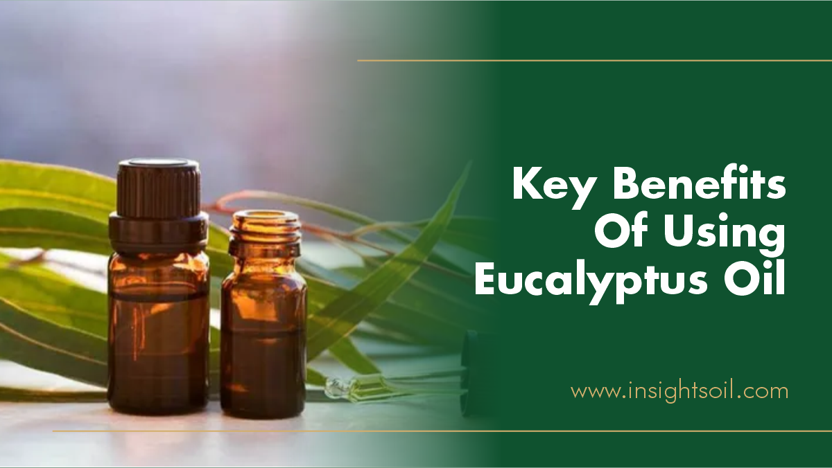 Eucalyptus Oil