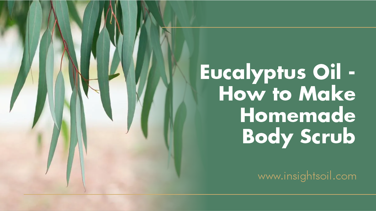 Eucalyptus Oil