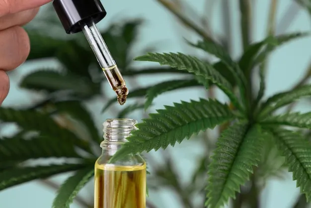 cbd oil